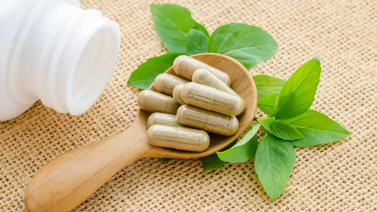 Boneset: The Ancient Herbal Remedy Turned Modern Dietary Supplement